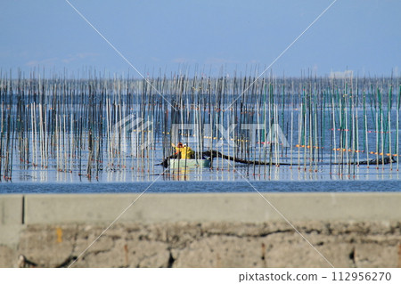 Omuta City, Miike Port, seaweed field, 112956270