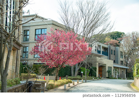 Scenery of luxury residential area 112956856