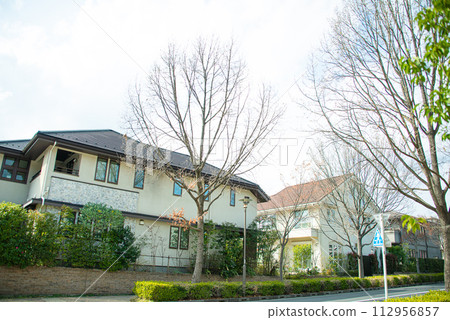 Scenery of luxury residential area 112956857