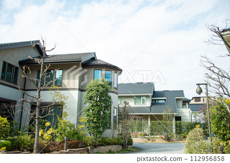 Scenery of luxury residential area 112956858