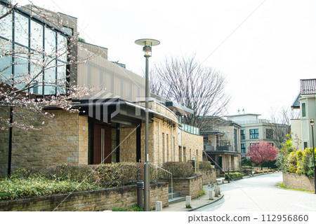 Scenery of luxury residential area 112956860