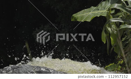 Green Plant Observing a Slow-Motion Waterfall into Darkness Green Plant Observing a Slow-Motion Waterfall into Darkness 112957152