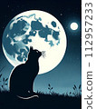 Silhouette of a white cat floating in the starry sky and the full moon shining on a full moon night 112957233