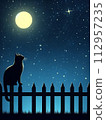 Moon and cat 112957235