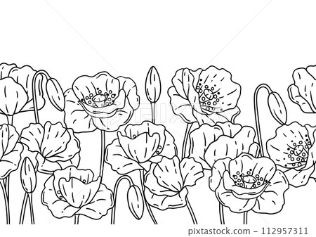 Pattern with poppies flowers. Beautiful decorative plants. 112957311