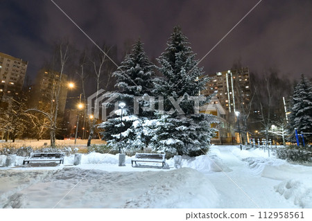 Fragment of a winter city spruce park in Moscow, Russia 112958561