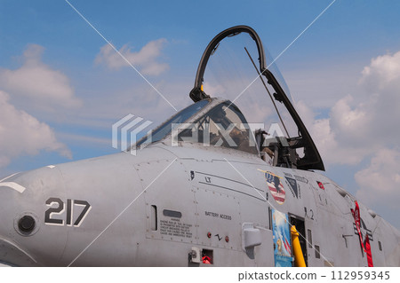 US Air Force A-10A Thunderbolt II attack aircraft on the apron US Air Force A-10A Thunderbolt II attack aircraft on the apron 112959345