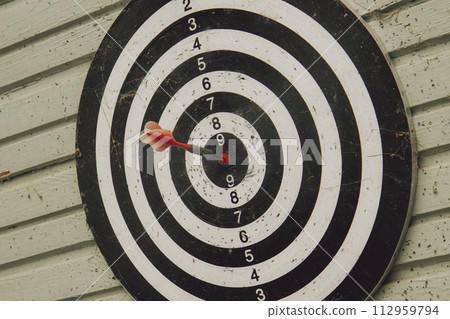 One Red Dart Arrow Hitting Target on the Center One Red Dart Arrow Hitting Target on the Center 112959794