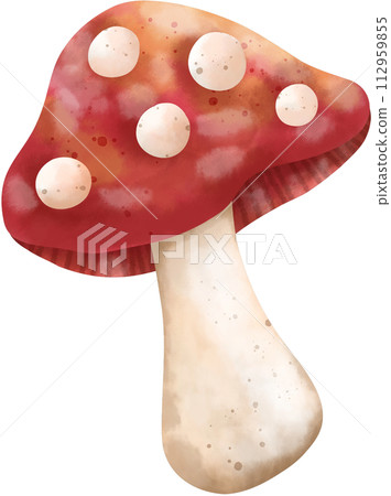 Red mushroom watercolor painting, hand drawn 112959855