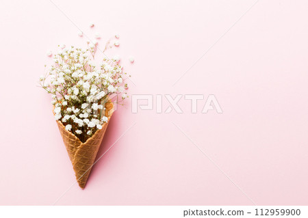 Waffle cone with beautiful gypsophila flowers on color background. summer concept. Copy space top view 112959900