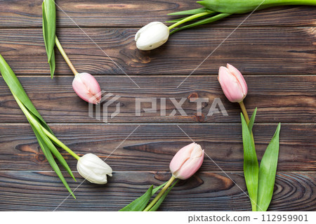 Pink and white tulips on a colored holiday frame Background. Floral spring background for March 8, birthday, mother's day. copy space top view flat lay Pink and white tulips on a colored holiday frame Background. Floral spring background for March 8, birthday, mother's day. copy space top view flat lay 112959901