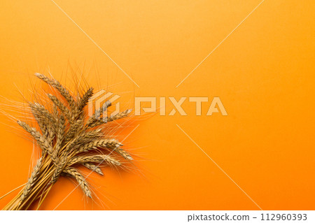 Sheaf of wheat ears close up and seeds on colored background. Natural cereal plant, harvest time concept. Top view, flat lay with copy space. world wheat crisis 112960393
