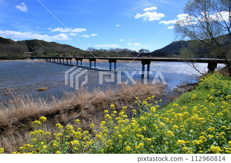 油菜花盛開時節的四萬十川和佐田水下橋(高知縣四萬十市) 油菜花盛開時節的四萬十川和佐田水下橋(高知縣四萬十市) 112960814