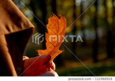 Female hand holding a vibrant orange autumn leaf against a beautiful fall background in the park, perfect for illustrating the beauty of the changing seasons in nature-themed articles, blogs Female hand holding a vibrant orange autumn leaf against a beautiful fall background in the park, perfect for illustrating the beauty of the changing seasons in nature-themed articles, blogs 112960928