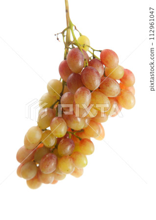 Bunch of organic pink grapes isolated on white background. 112961047