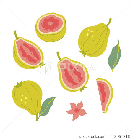 Set of guava and parts isolate on a white background. Vector graphics 112961818