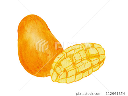 Tropical watercolor illustration of mango - cross section and one piece Tropical watercolor illustration of mango - cross section and one piece 112961854