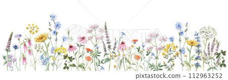 Beautiful horizontal mural with watercolor wild field flowers. Stock mural. Floral design. Beautiful horizontal mural with watercolor wild field flowers. Stock mural. Floral design. 112963252