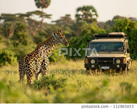 Giraffe in natural habitat with safari vehicle. Generative AI. 112963853