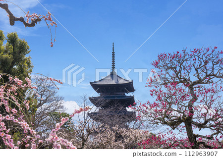 Kyoto in spring, Toji Temple, plum blossoms and five-storied pagoda Kyoto in spring, Toji Temple, plum blossoms and five-storied pagoda 112963907