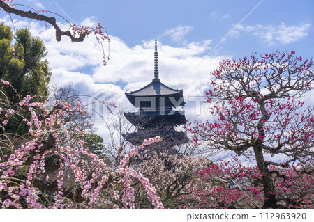春天的京都，東寺，梅花和五層寶塔 112963920
