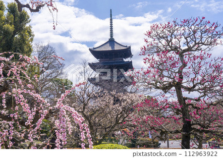 Kyoto in spring, Toji Temple, plum blossoms and five-storied pagoda 112963922