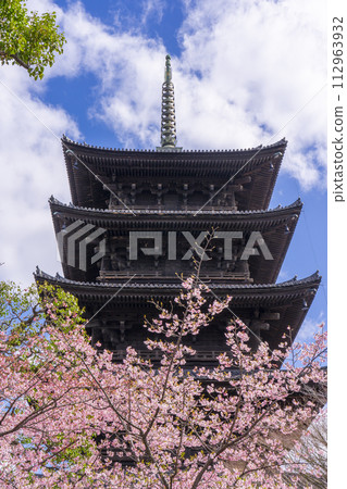 春天的京都、東寺、河津櫻花和五層寶塔 112963932