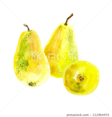 Set of fresh ripe yellow honey pear fruits. Hand drawn watercolor illustration. Delicious aromatic fruit ripened on a tree 112964455