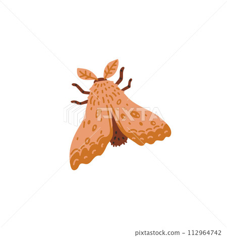 A majestic golden moth with a beautiful pattern on its wings on a white background A majestic golden moth with a beautiful pattern on its wings on a white background 112964742