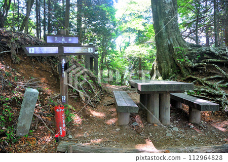 [山標]靜岡縣天城山天城峠（2011年） 112964828