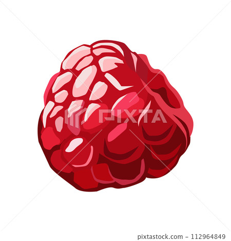 juicy red raspberry on white background. Isolated vector summer berries in flat style 112964849