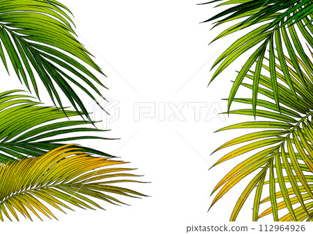 Background jungle leaves Background jungle leaves 112964926