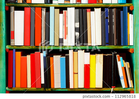 Blank books 112965818
