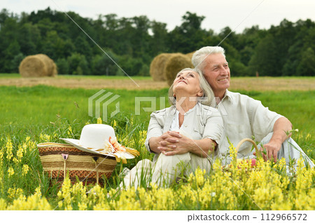 Portrait of senior couple resting in park Portrait of senior couple resting in park 112966572