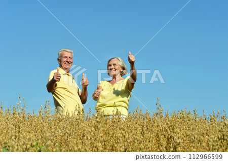 Loving mature couple in field at summer Loving mature couple in field at summer 112966599
