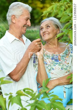 Loving mature couple in the park in summer Loving mature couple in the park in summer 112966637