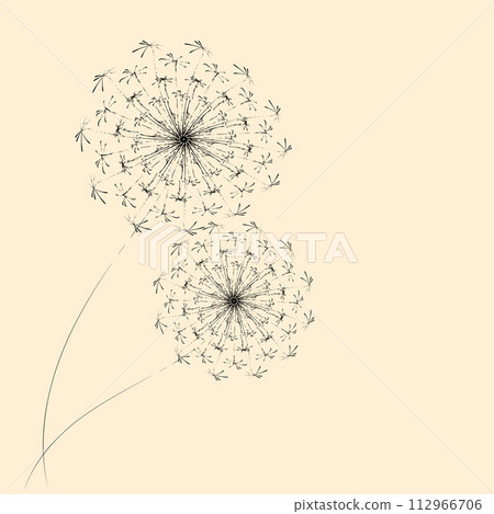 Summer floral background of stylized dandelions. For the design of postcards, brochures, flyers. 112966706