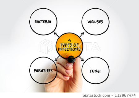 4 types of infections mind map text concept for presentations and reports 112967474