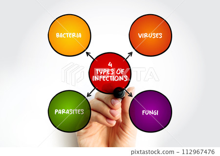 4 types of infections mind map text concept for presentations and reports 4 types of infections mind map text concept for presentations and reports 112967476