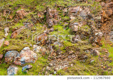 Moss, grass on a rock face. Relief and texture of stone with grass and moss Moss, grass on a rock face. Relief and texture of stone with grass and moss 112967660