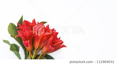 Bouquet of orange daylilies or hemerocallis fulva flowers on a white background Bouquet of orange daylilies or hemerocallis fulva flowers on a white background 112969032
