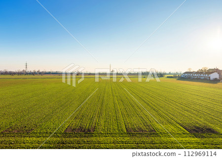 Field Field 112969114