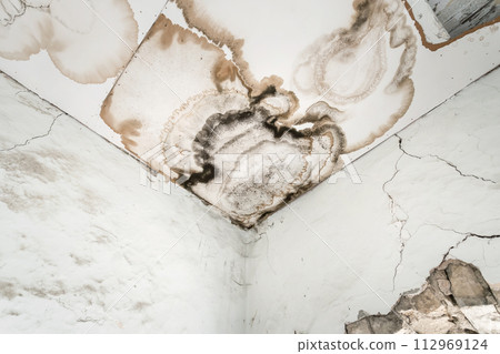 Mould in the wall Mould in the wall 112969124