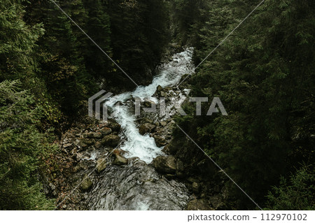 beautiful mountain river among coniferous trees, beautiful landscape beautiful mountain river among coniferous trees, beautiful landscape 112970102