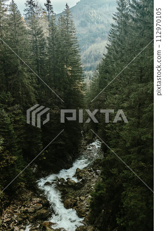 Wild river waterfall in mountain forest Wild river waterfall in mountain forest 112970105