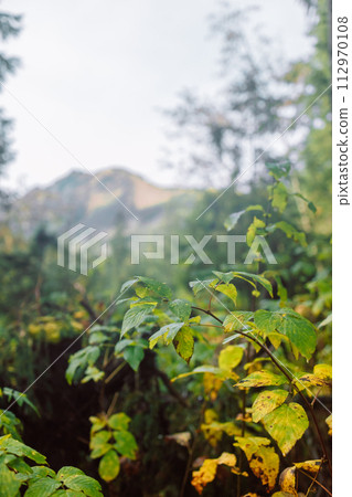 Idyllic view along the path. Mountain landscape with hiking trail and view of beautiful lakes Morskie oko or sea eye lake In High Tatras, Tatra National Park in Poland. 112970108