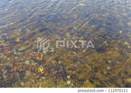 dry autumn leaves float on water of pond with reflections of sky and trees in the fall 112970121