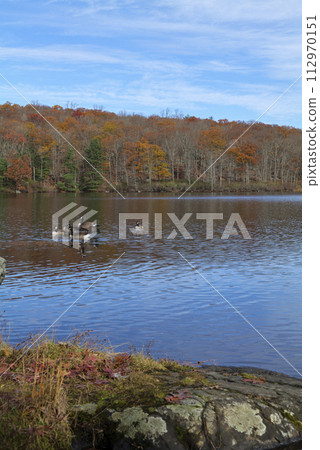Autumn lake reflecting on a blue sky background and forest landscape Autumn lake reflecting on a blue sky background and forest landscape 112970151