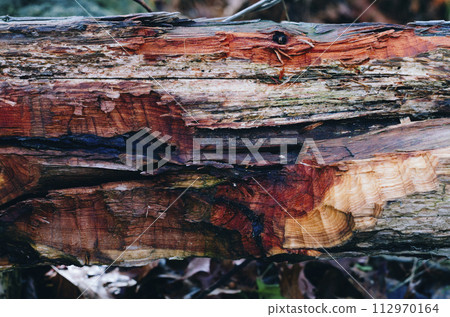Creative brown wood texture hewn with an ax Creative brown wood texture hewn with an ax 112970164