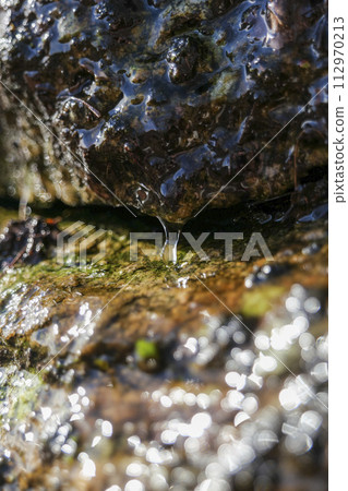 Drops of melting snow flow down the stones Drops of melting snow flow down the stones 112970213
